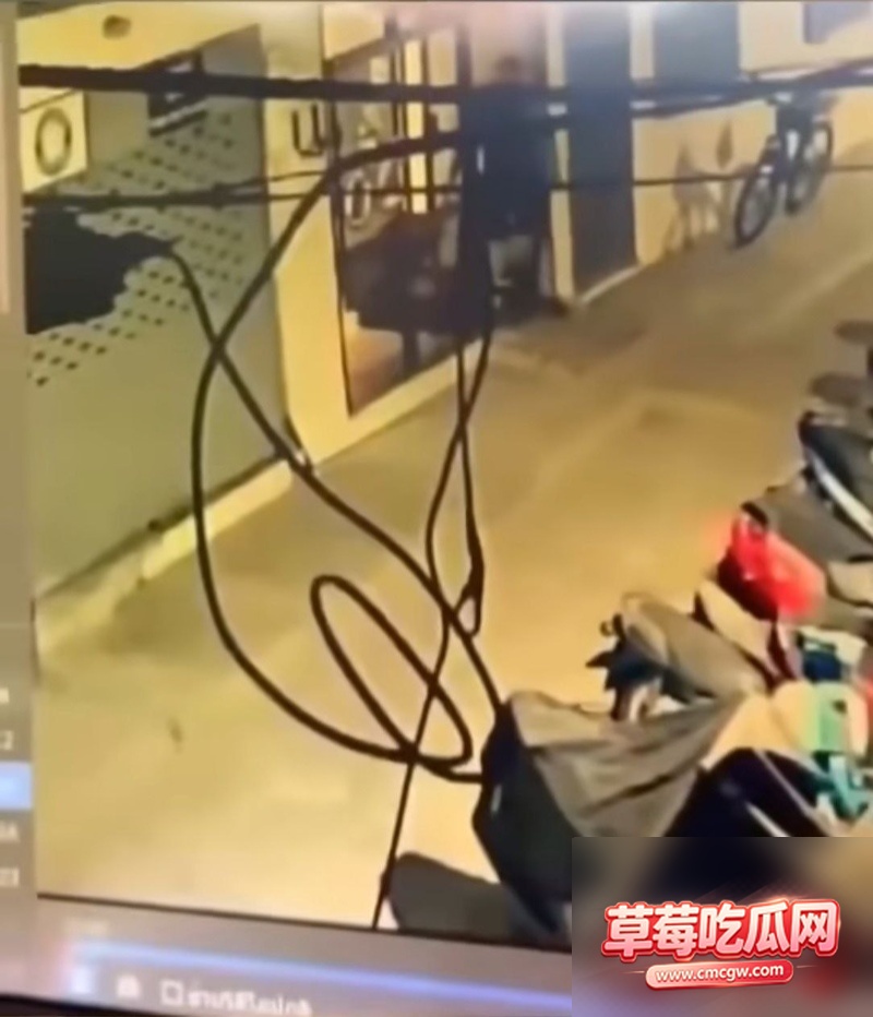 泰国行李箱女尸案件5 泰国行李箱女尸案件5
