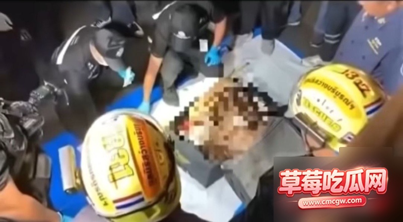 泰国行李箱女尸案件1 泰国行李箱女尸案件1