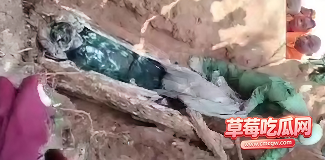 缅甸佤邦僵尸事件 缅甸佤邦僵尸事件