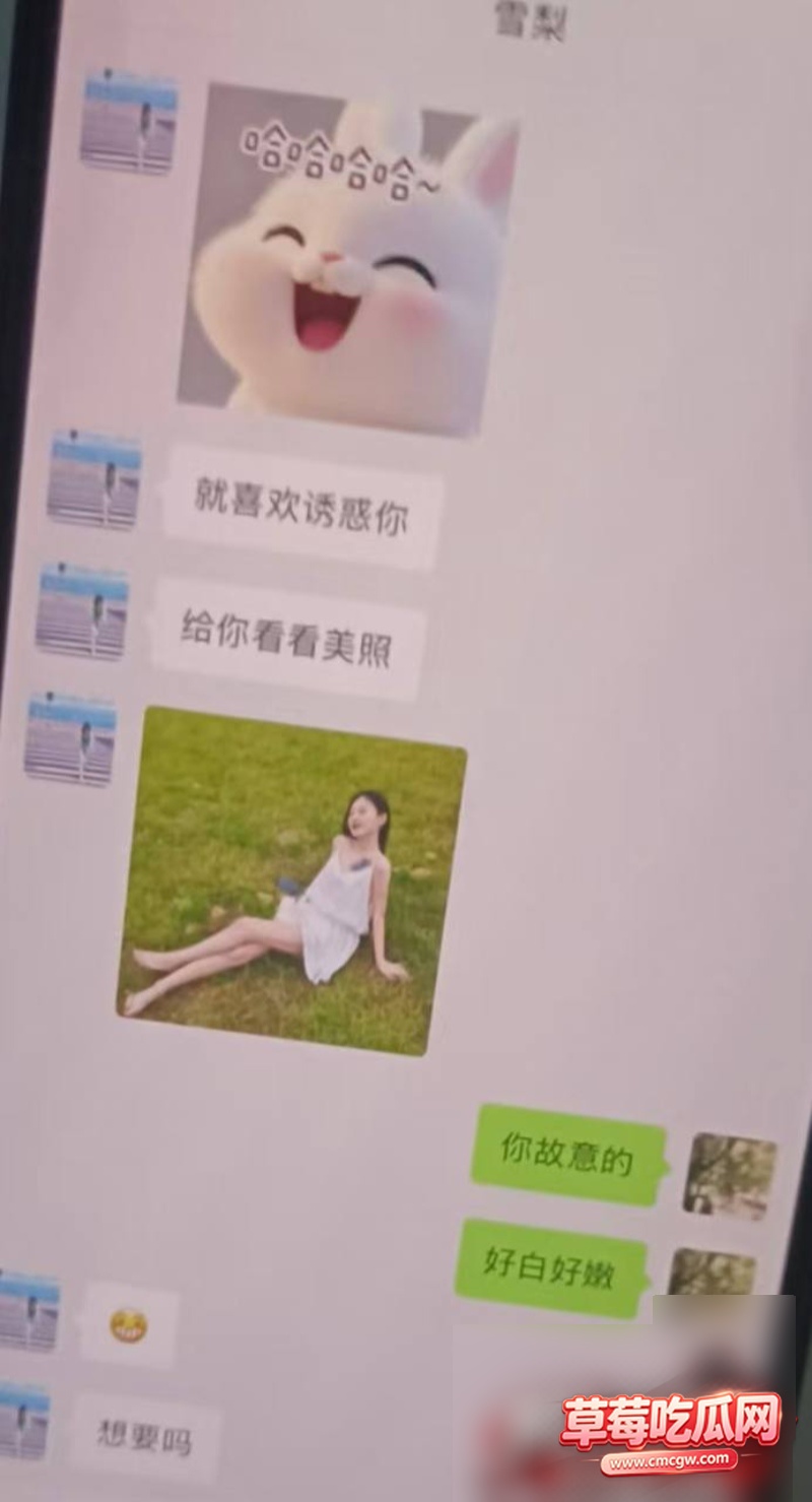 雪梨被原配曝光15