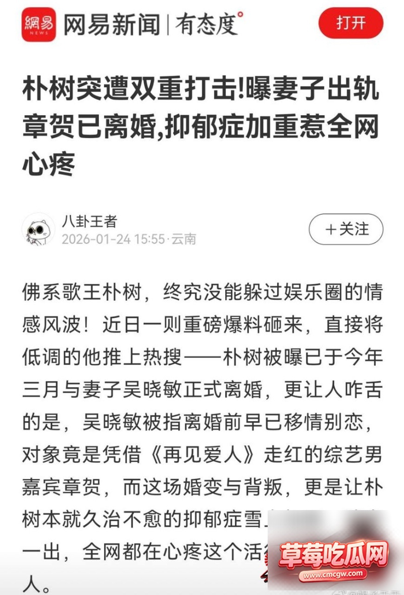 朴树婚内出轨王子文1 朴树婚内出轨王子文1