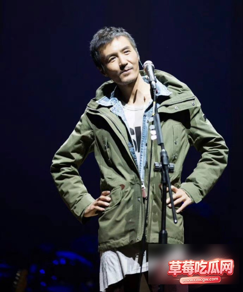 朴树婚内出轨王子文11 朴树婚内出轨王子文11