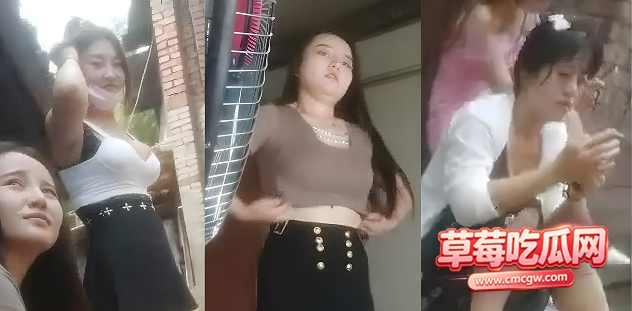 下载 下载