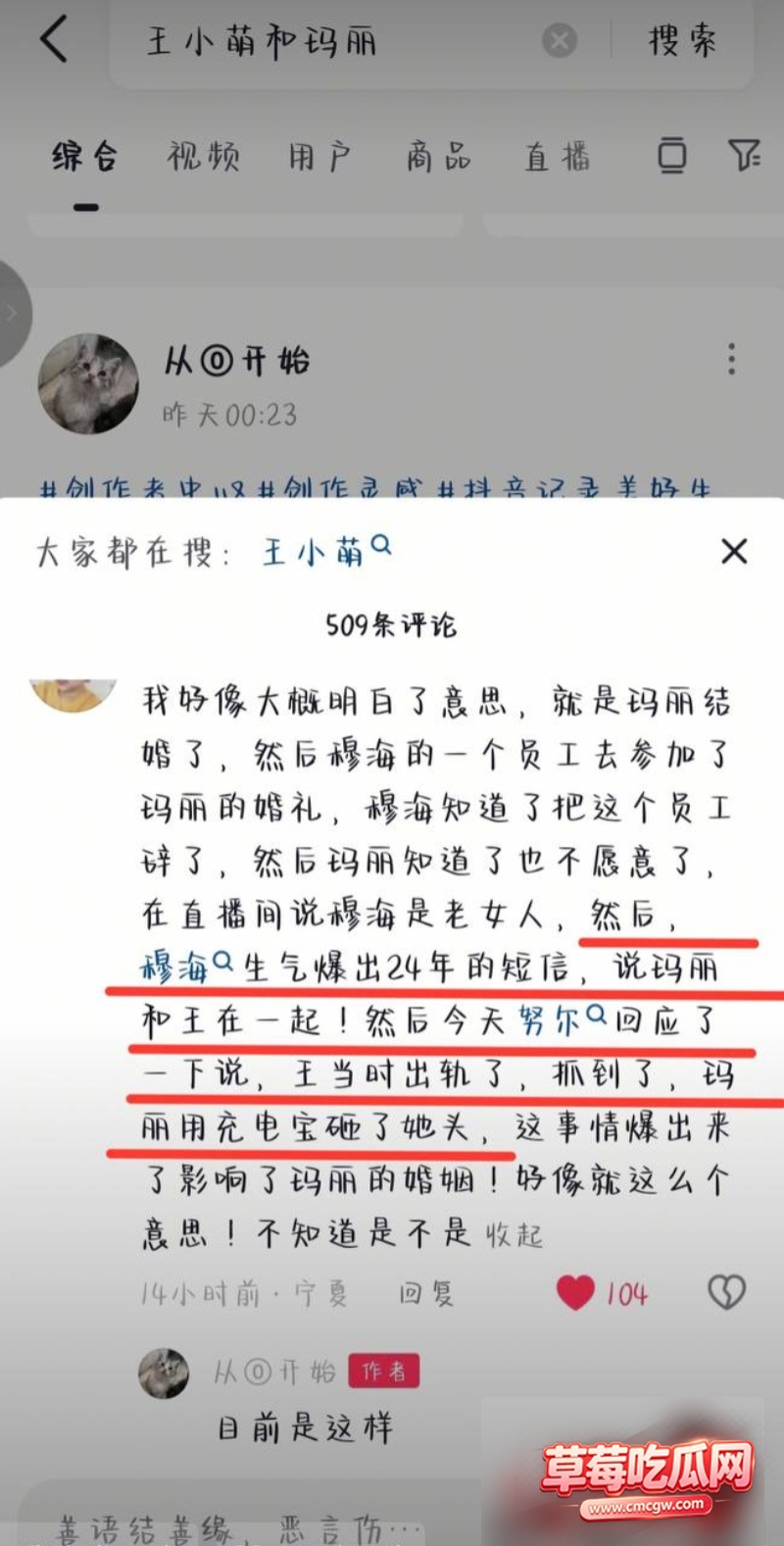 王小萌出轨事件12 王小萌出轨事件12