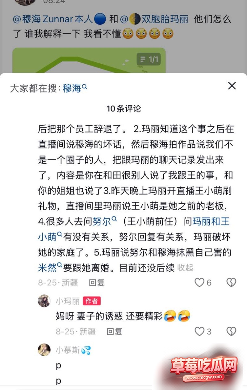 王小萌出轨事件13 王小萌出轨事件13