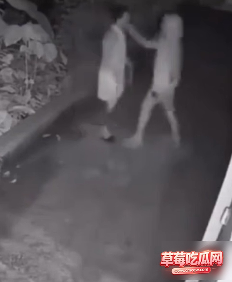 情侣户外野战视频3