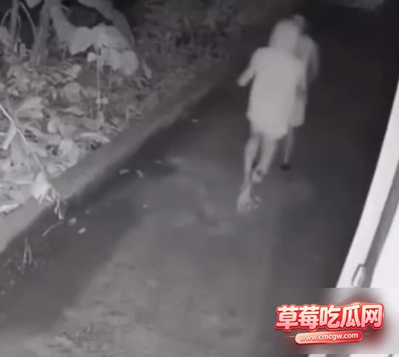 情侣户外野战视频4