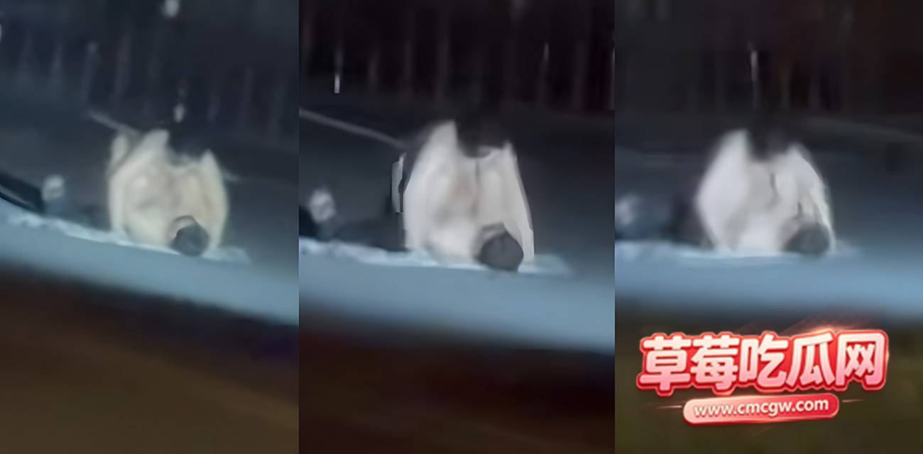 情侣街头全裸激情性爱
