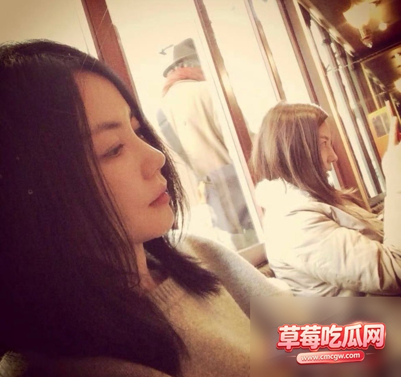 王菲男闺蜜Ryan丑闻2 王菲男闺蜜Ryan丑闻2