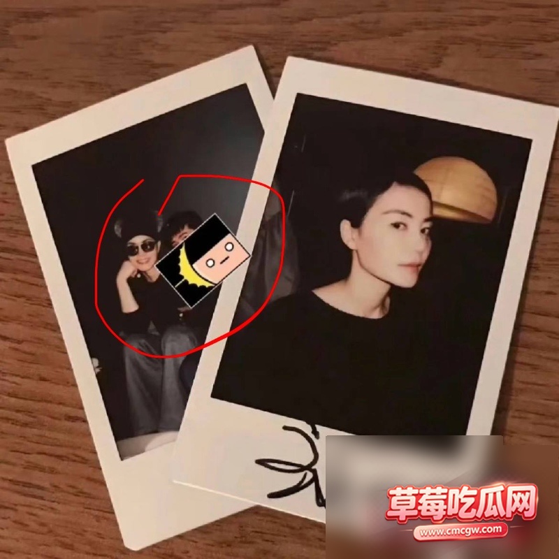 王菲男闺蜜Ryan丑闻5 王菲男闺蜜Ryan丑闻5