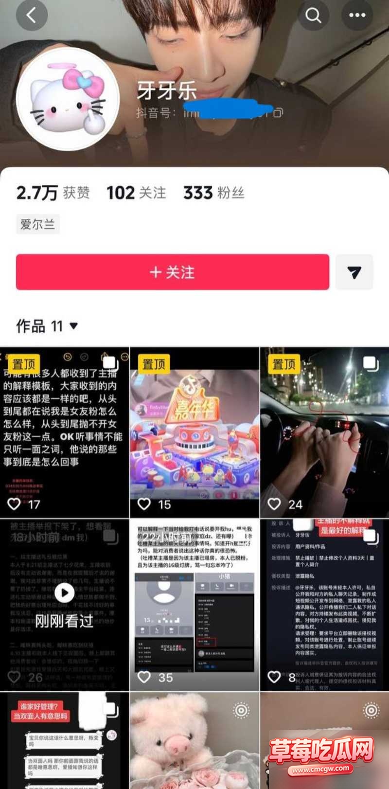 小小猪11