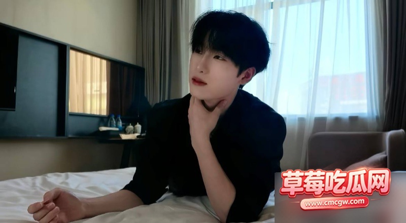 小小猪19