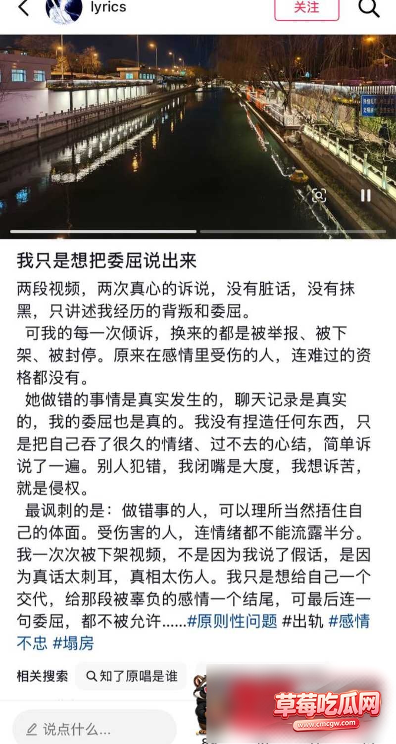 洪雯靖丑闻事件10