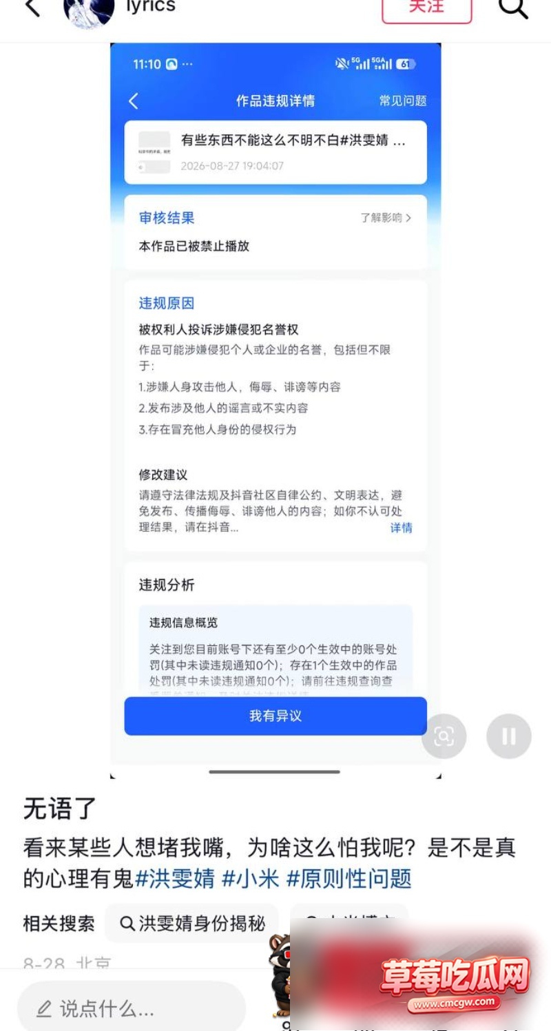 洪雯靖丑闻事件30