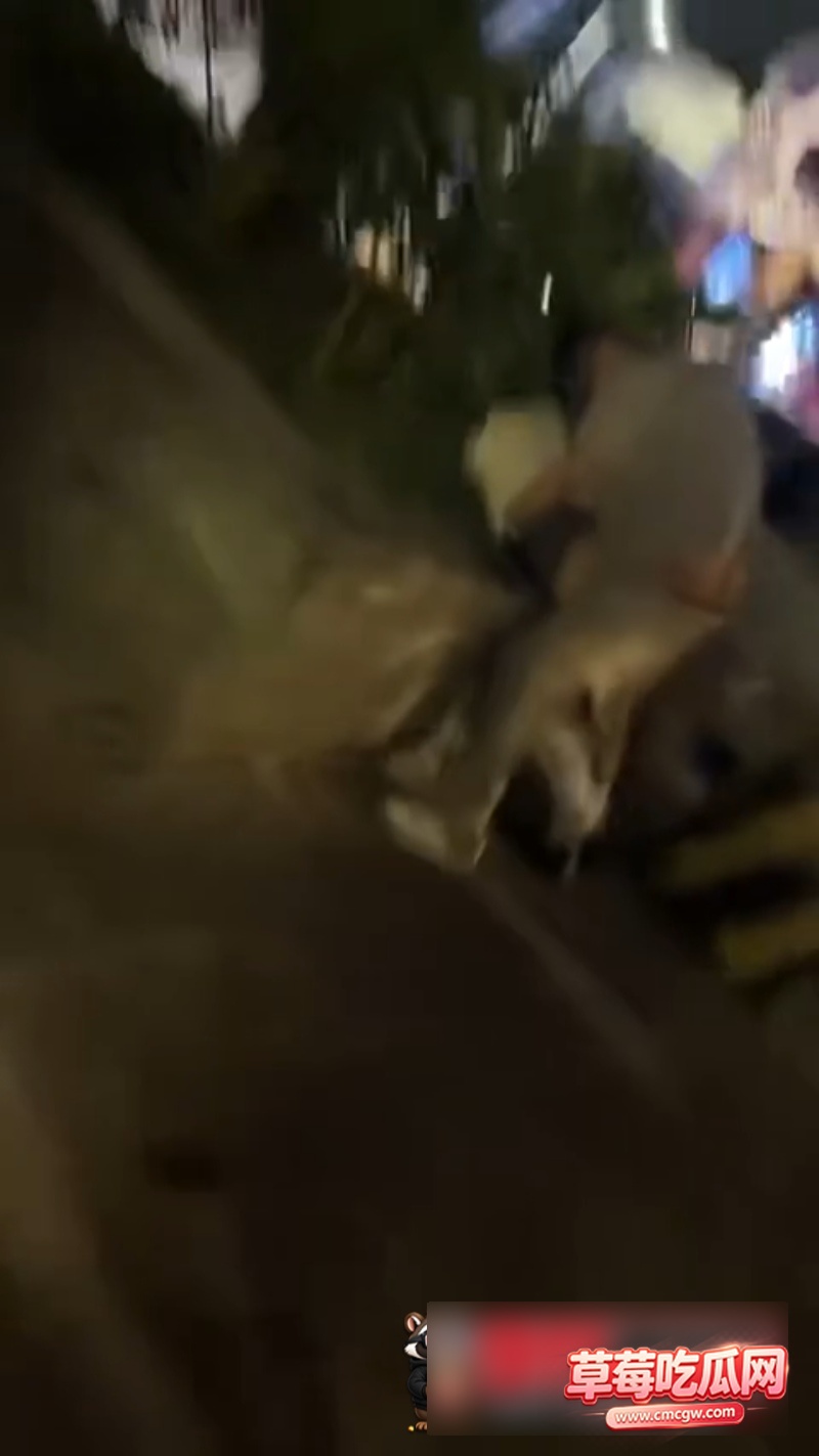 惠州3 惠州3