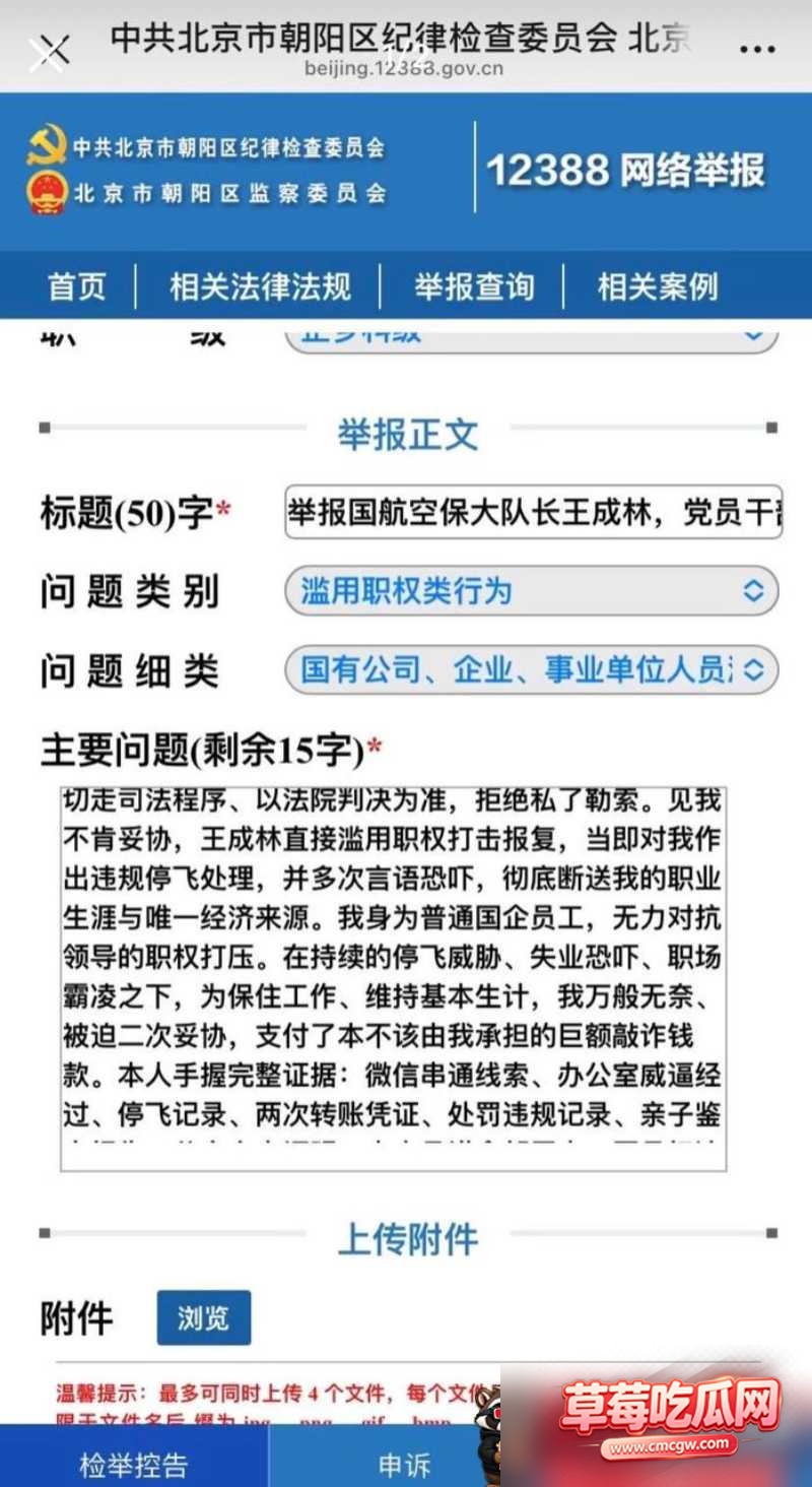 国航空保支队三大队长 王成林 10 国航空保支队三大队长 王成林 10