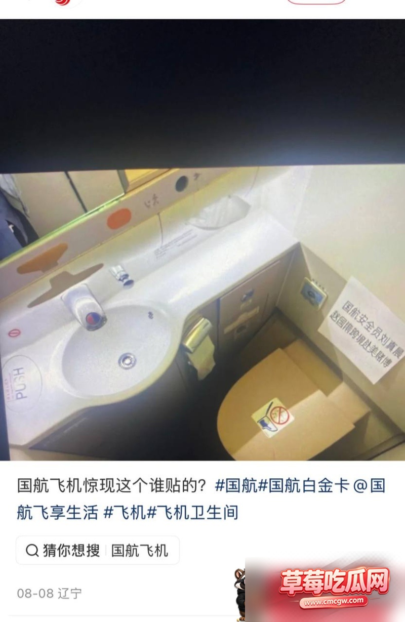 国航空保支队三大队长 王成林 12 国航空保支队三大队长 王成林 12