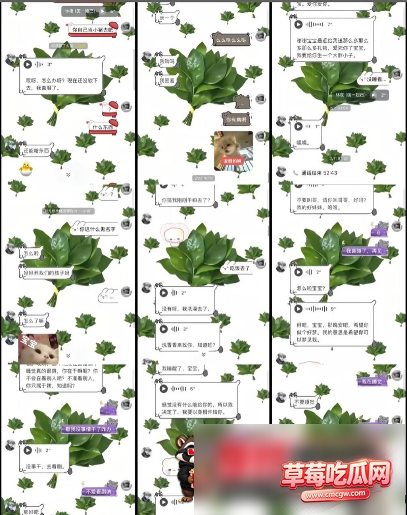 林夜17 林夜17