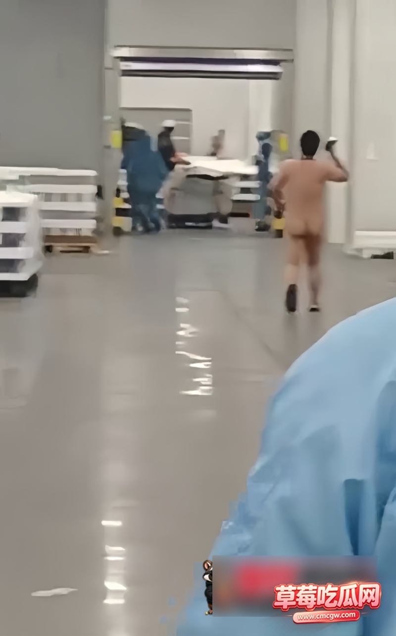 1W800px 1W800px