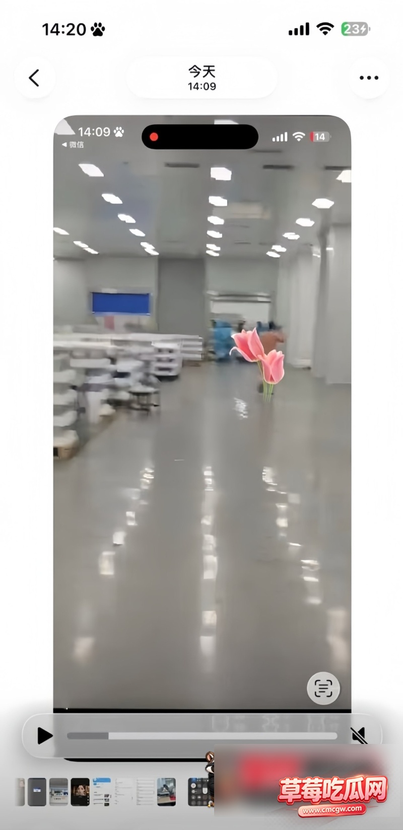 7W800px 7W800px