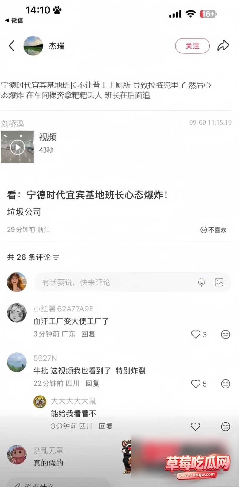 8W800px 8W800px
