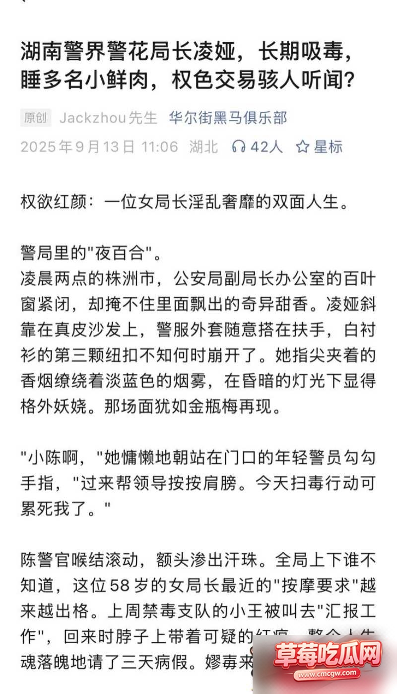 湖南株洲公安局原副局长凌娅 10 湖南株洲公安局原副局长凌娅 10