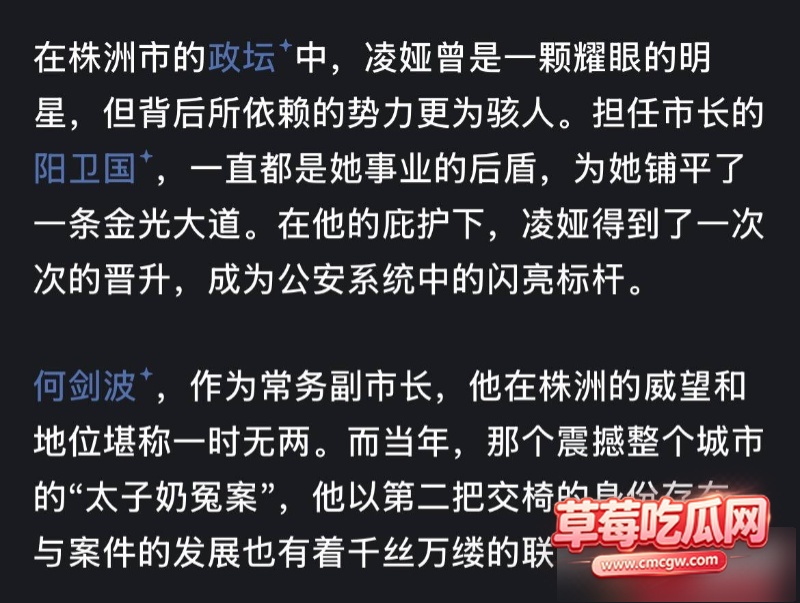 湖南株洲公安局原副局长凌娅 20 湖南株洲公安局原副局长凌娅 20
