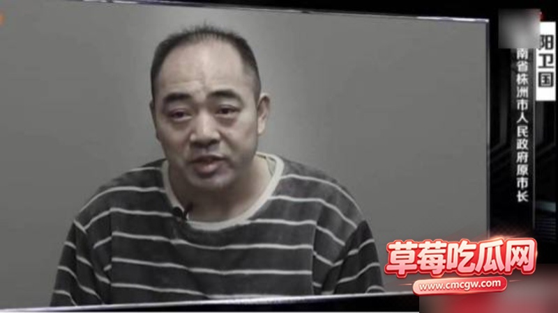 湖南株洲公安局原副局长凌娅 21 湖南株洲公安局原副局长凌娅 21