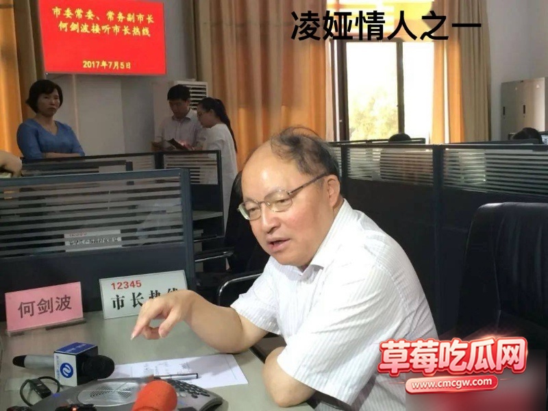 湖南株洲公安局原副局长凌娅 22 湖南株洲公安局原副局长凌娅 22