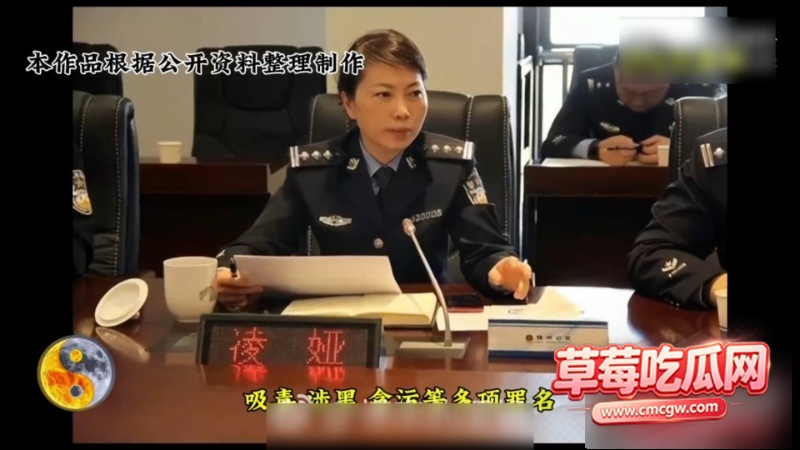 湖南株洲公安局原副局长凌娅 4 湖南株洲公安局原副局长凌娅 4