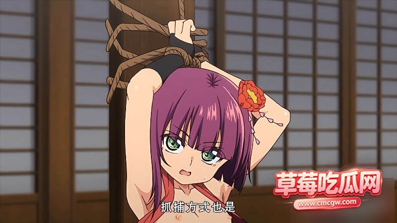 牡丹0 牡丹0