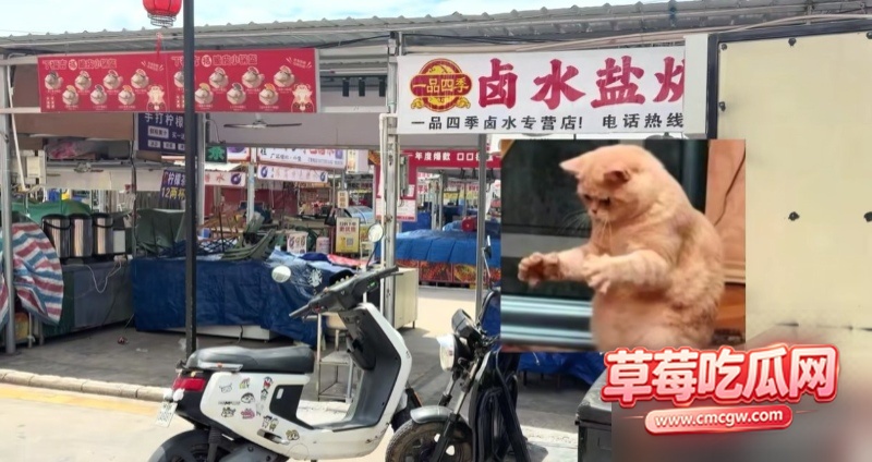 全网疯求水东鲸喜汇户外偷情性爱视频 15 全网疯求水东鲸喜汇户外偷情性爱视频 15