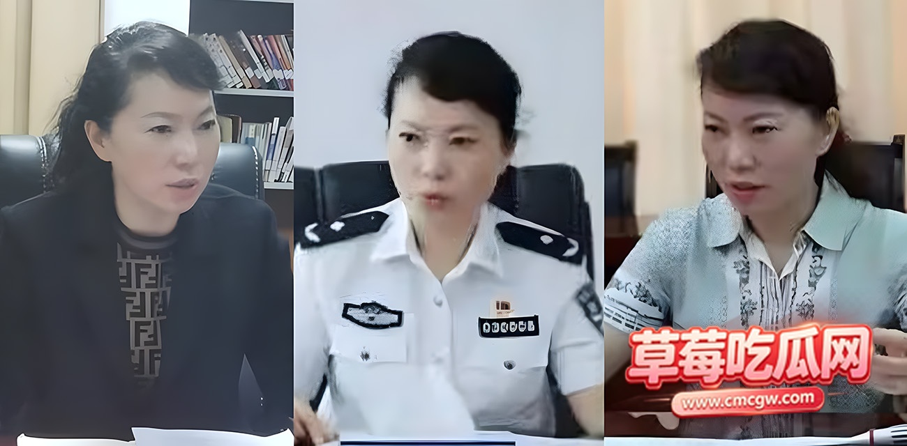 湖南株洲公安局原副局长 凌娅 湖南株洲公安局原副局长 凌娅