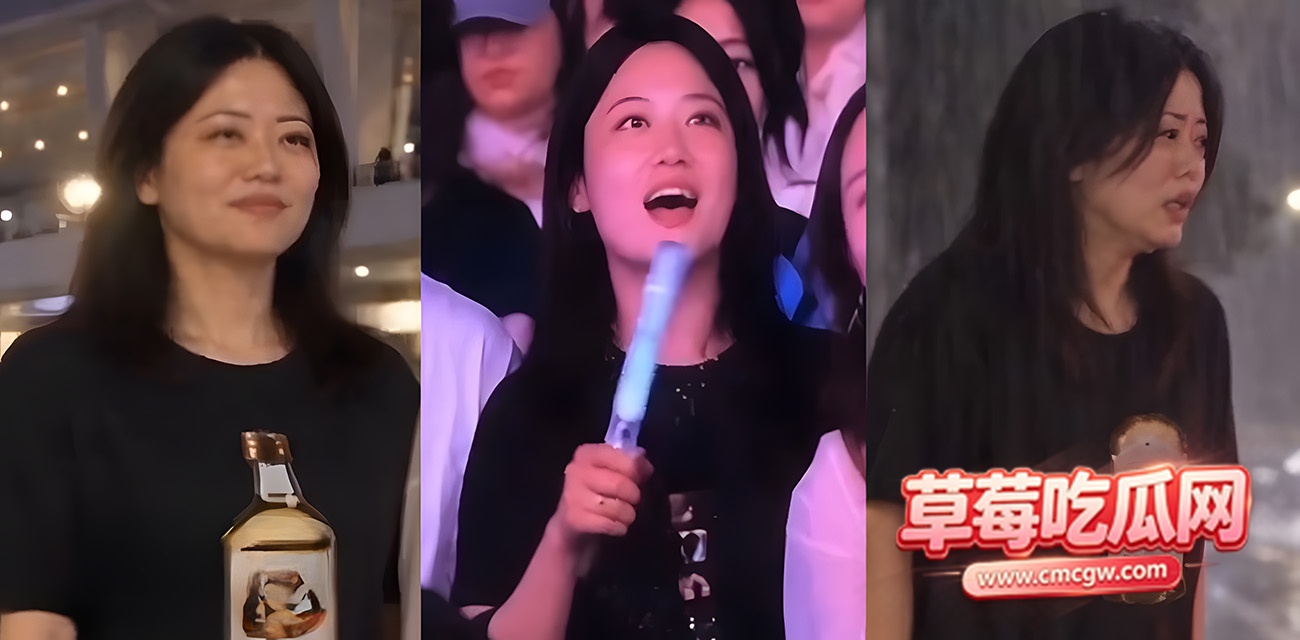 萧敬腾演唱会舔狗事件后续 萧敬腾演唱会舔狗事件后续