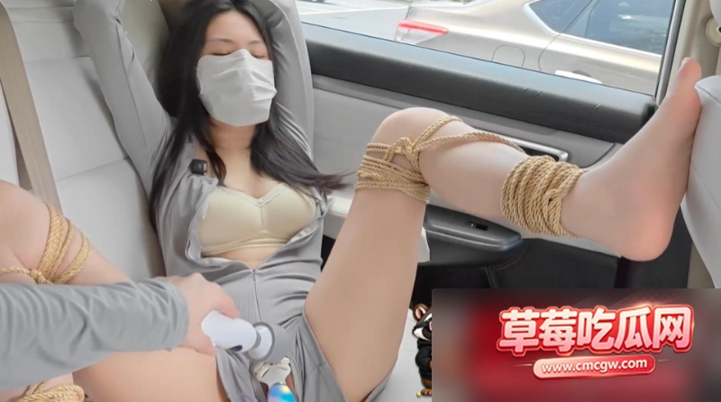 SM调教系列4 SM调教系列4