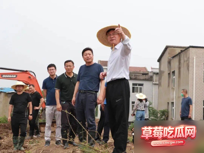 曾晟与胡颖不雅视频4 曾晟与胡颖不雅视频4