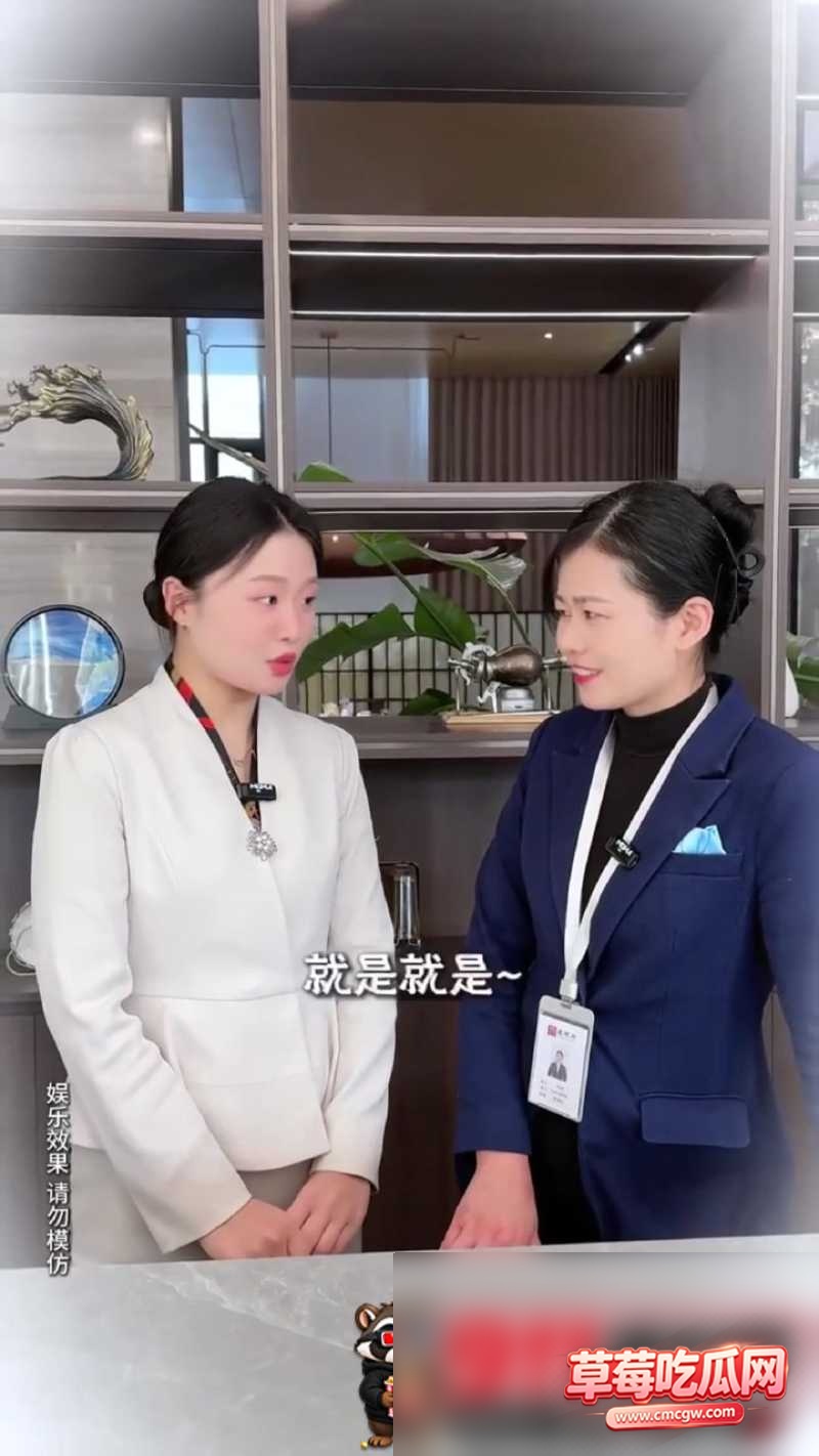 房产销售御姐2 房产销售御姐2