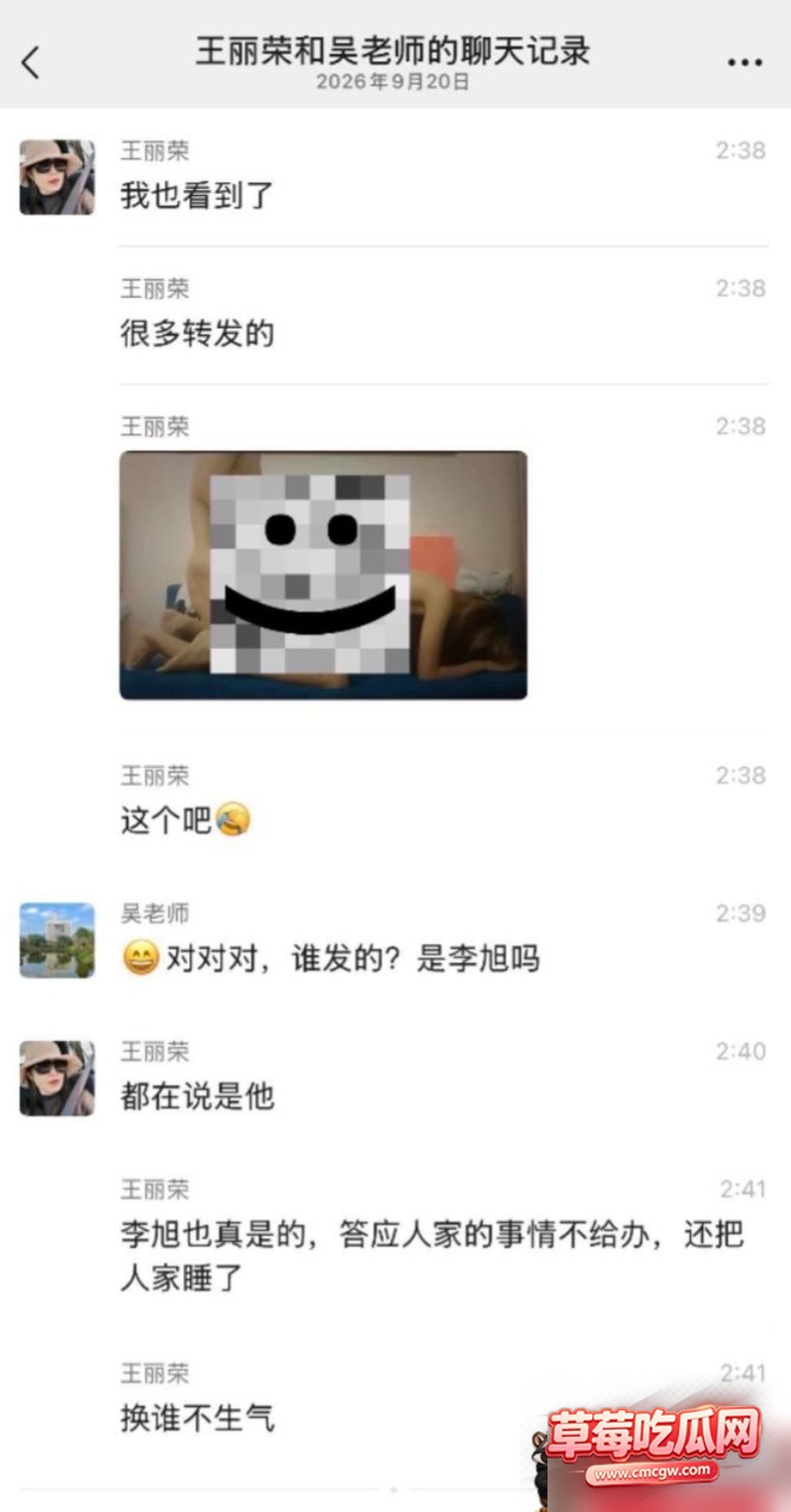 重庆理工大学教授李旭 19
