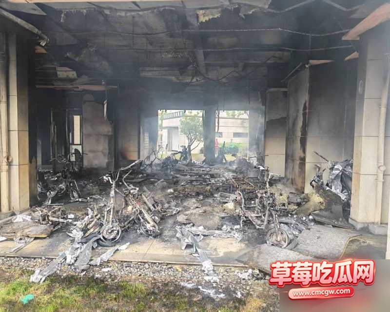 双云里 11 双云里 11