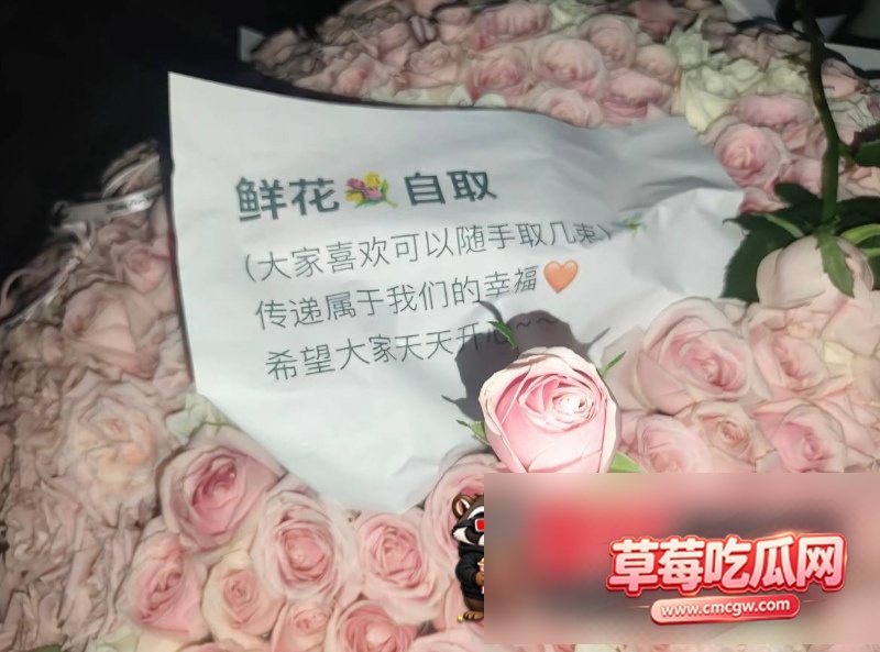 女网红锦鲤小灏35