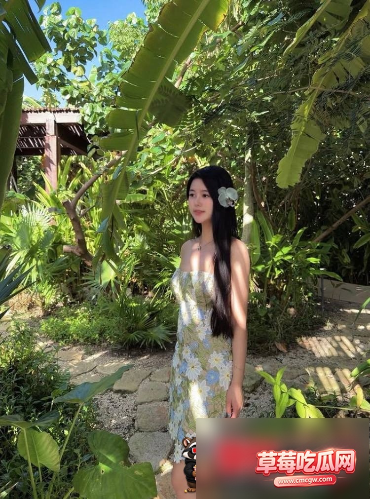美羊羊12 美羊羊12