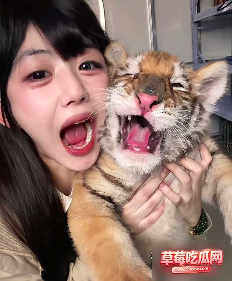 大炮 7 大炮 7