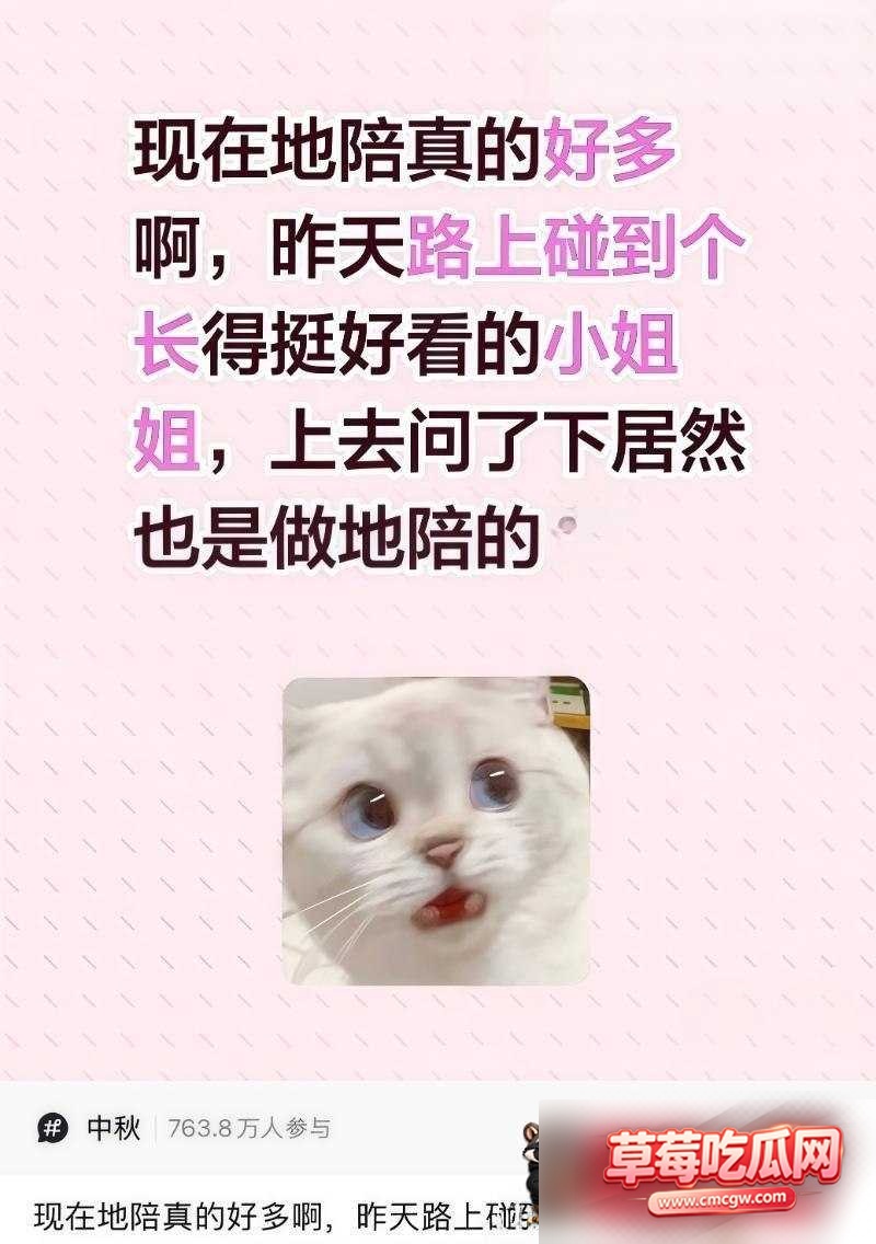 地陪 10 地陪 10