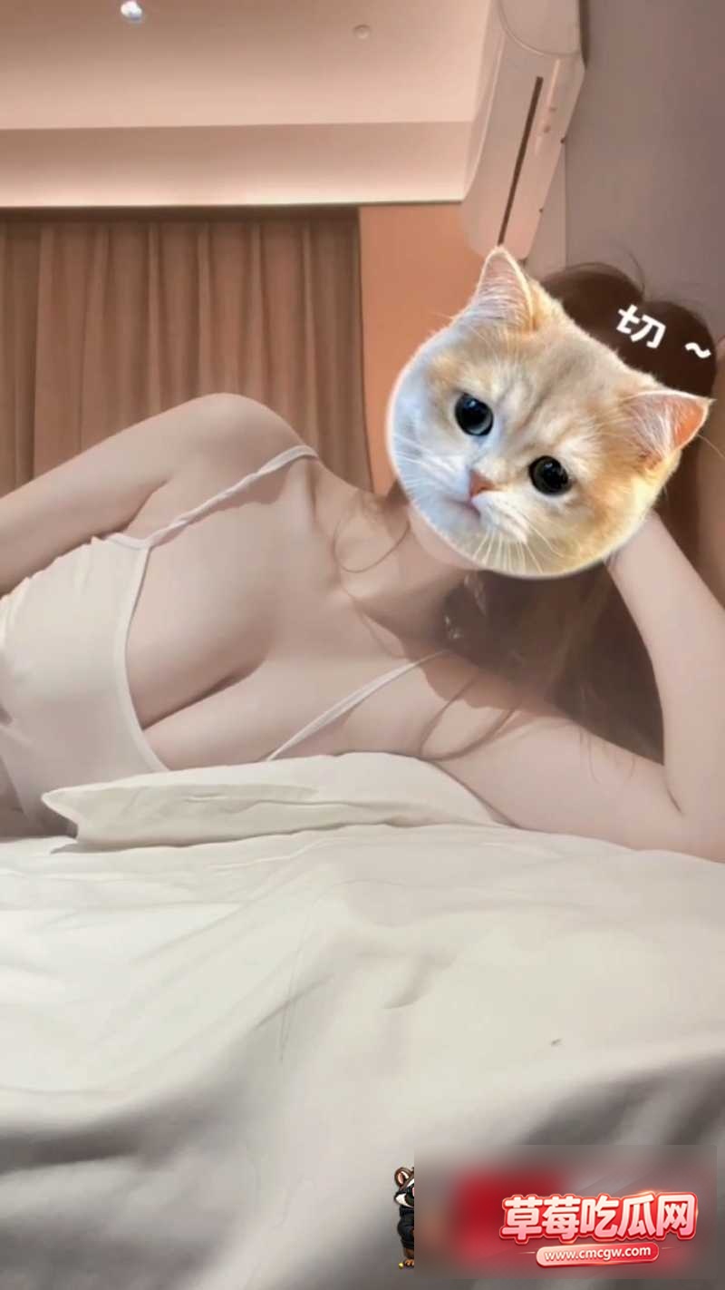 肉包 5 肉包 5