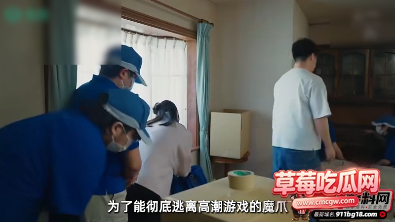 水果派1 水果派1