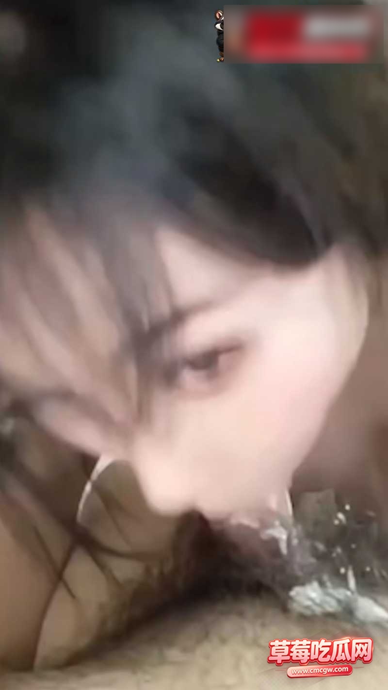 鱼虾 10 鱼虾 10