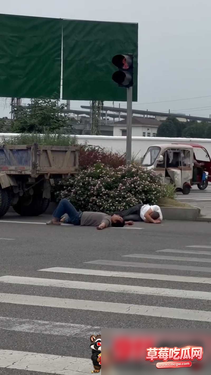 打架8 打架8