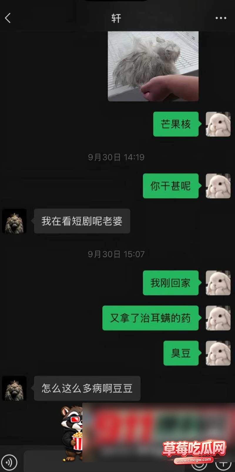张玮轩23 张玮轩23