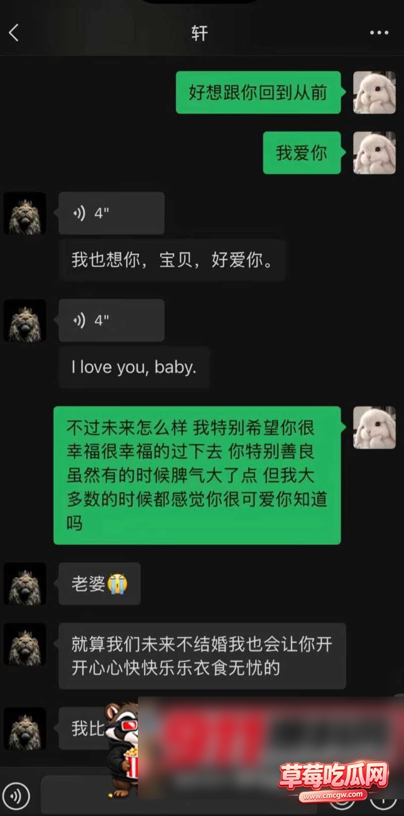 张玮轩24 张玮轩24