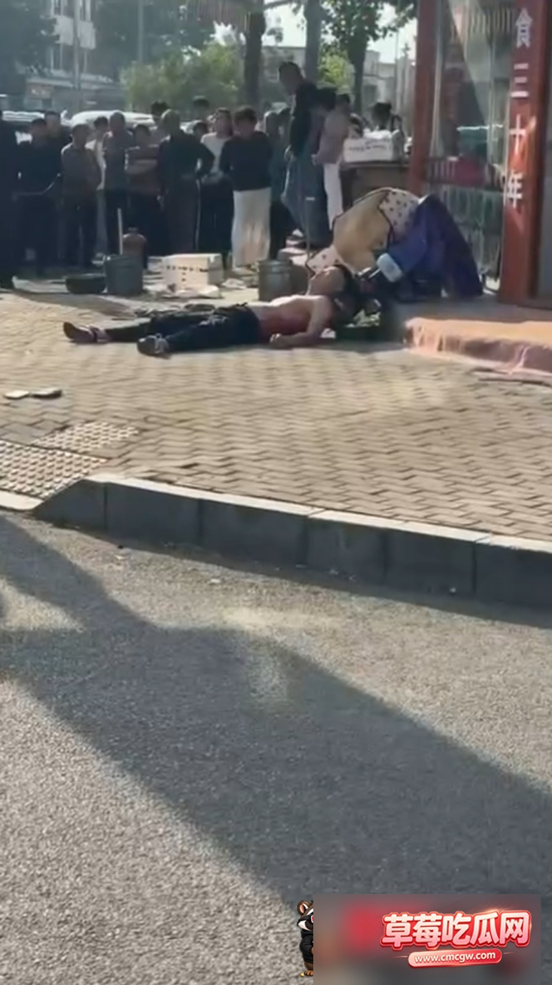 山东成武当街杀人案4 山东成武当街杀人案4
